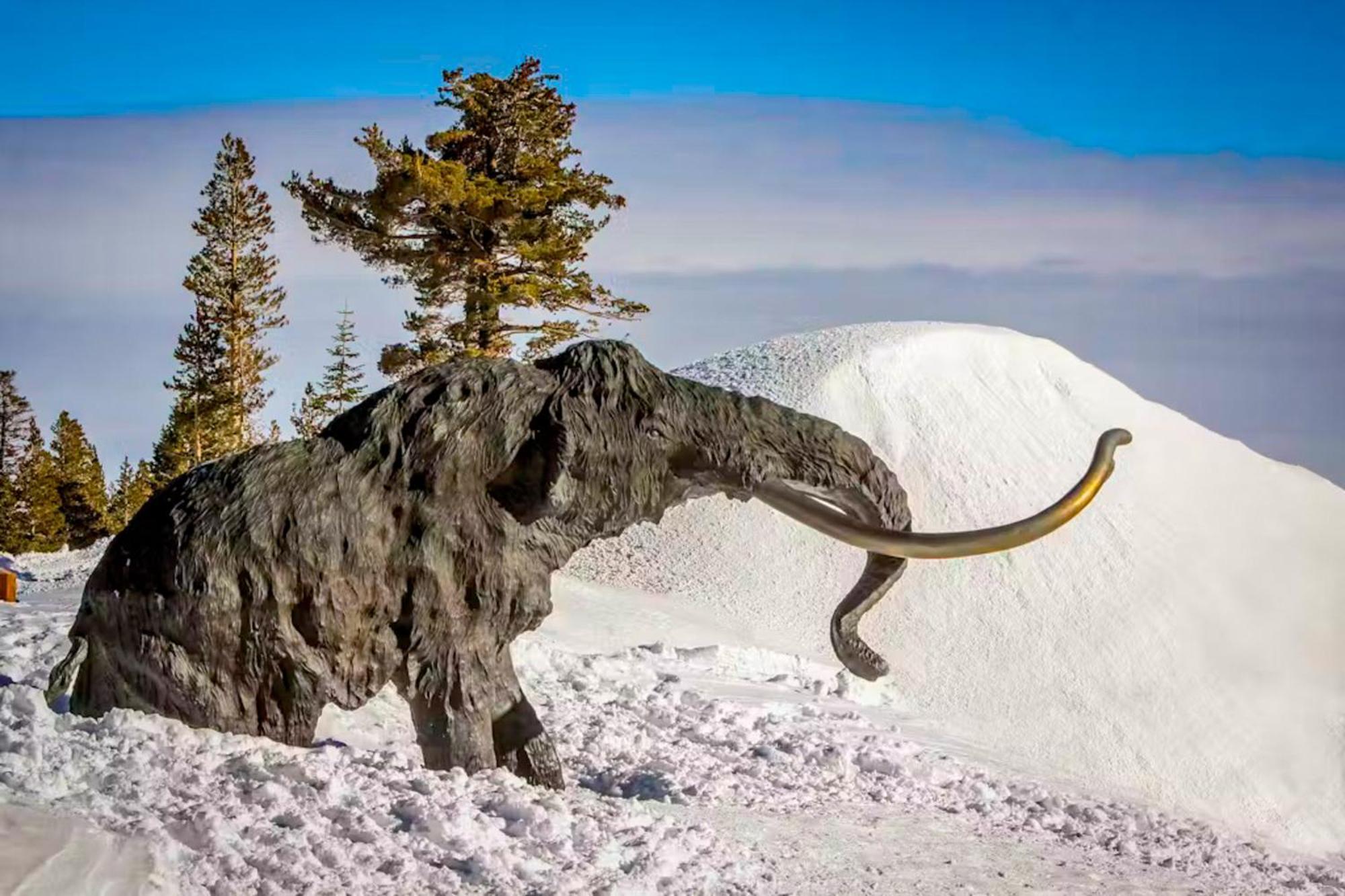 White Pines Mountain Lodge #7 Mammoth Lakes Buitenkant foto