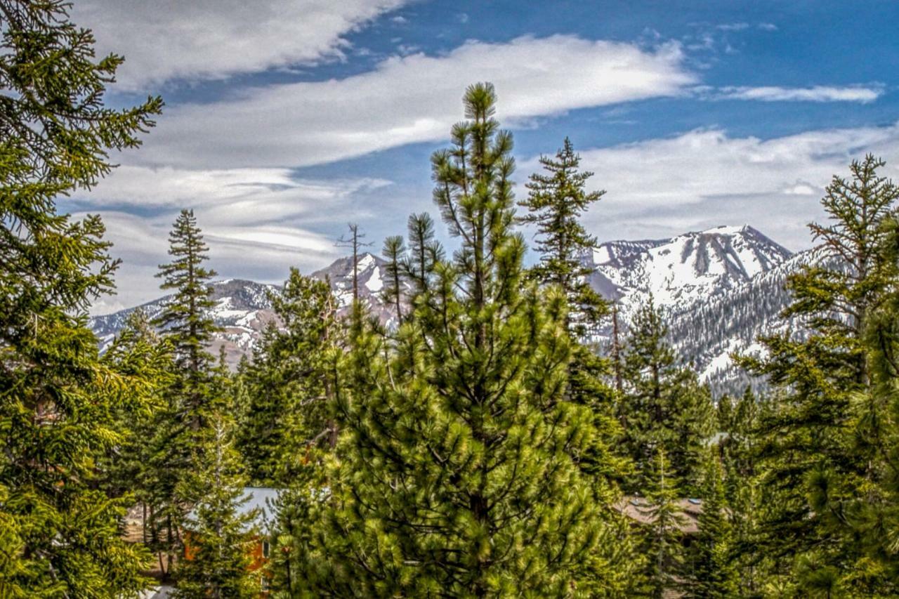 White Pines Mountain Lodge #7 Mammoth Lakes Buitenkant foto